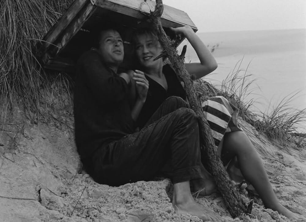 夏の最後の日の画像