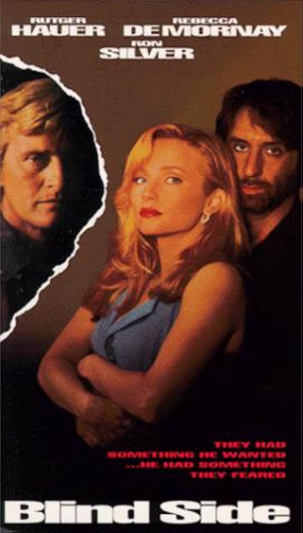 ビジター／欲望の死角の画像