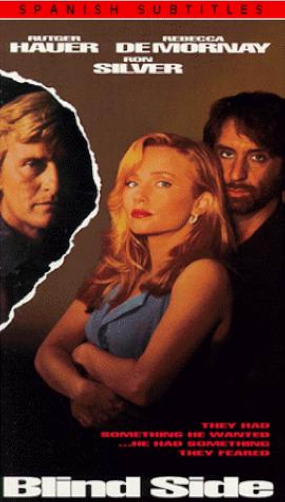 ビジター／欲望の死角の画像