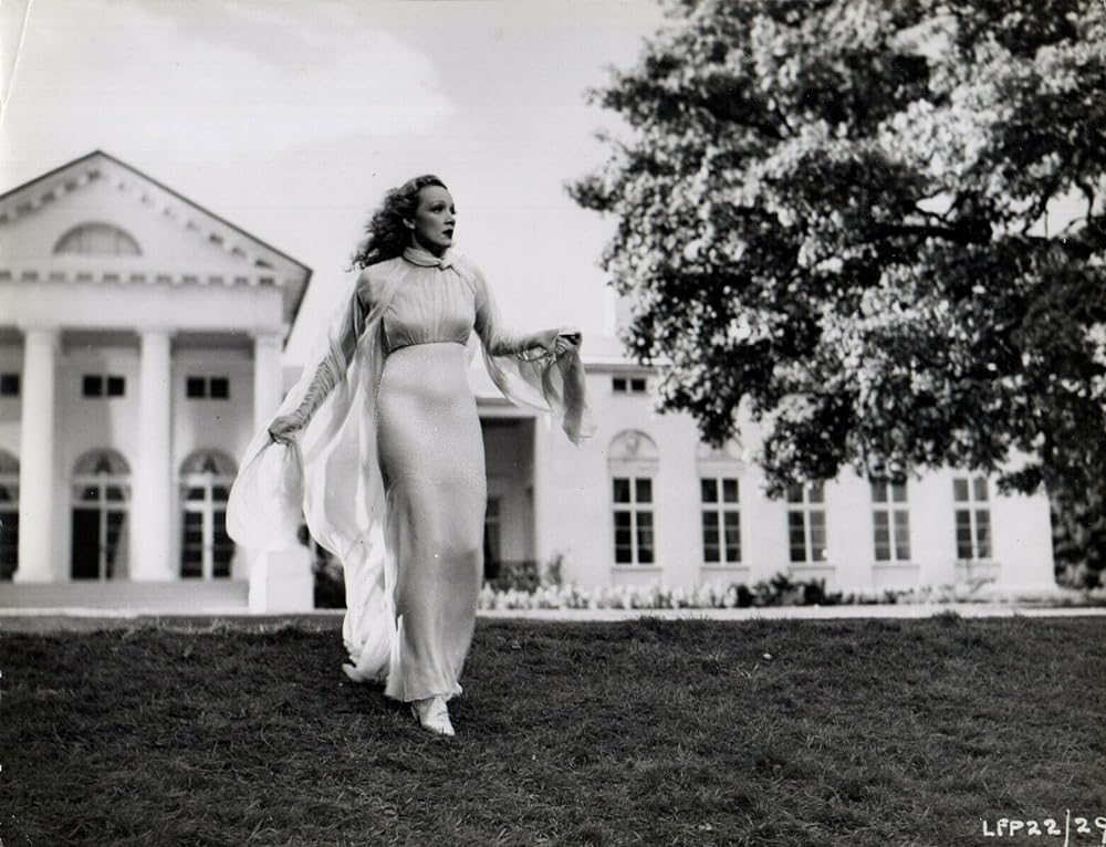 鎧なき騎士の画像