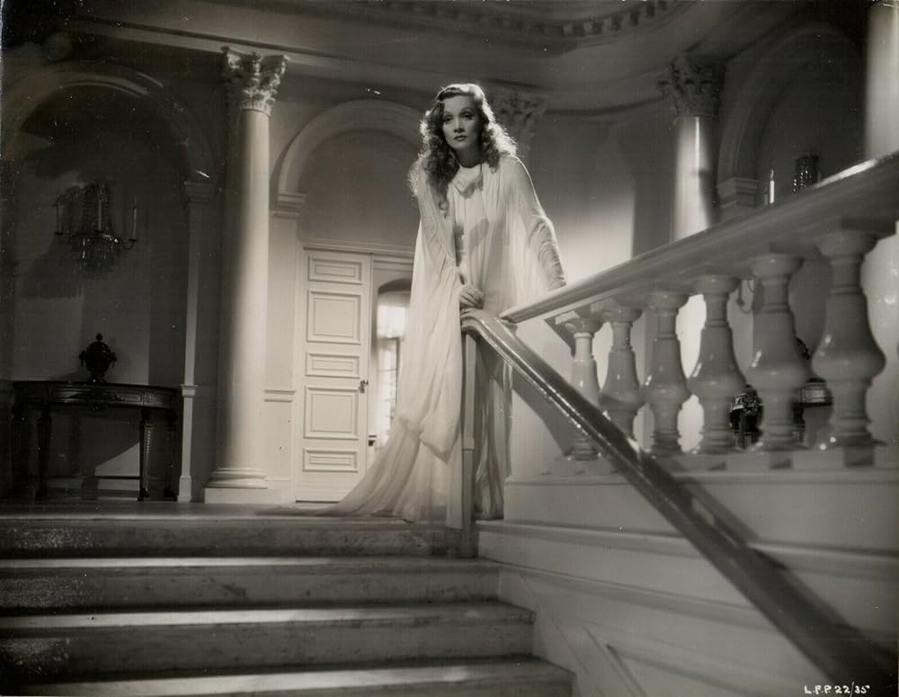 鎧なき騎士の画像