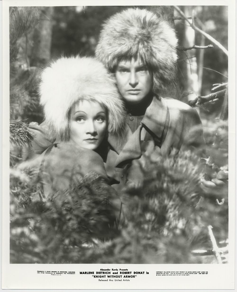 鎧なき騎士の画像