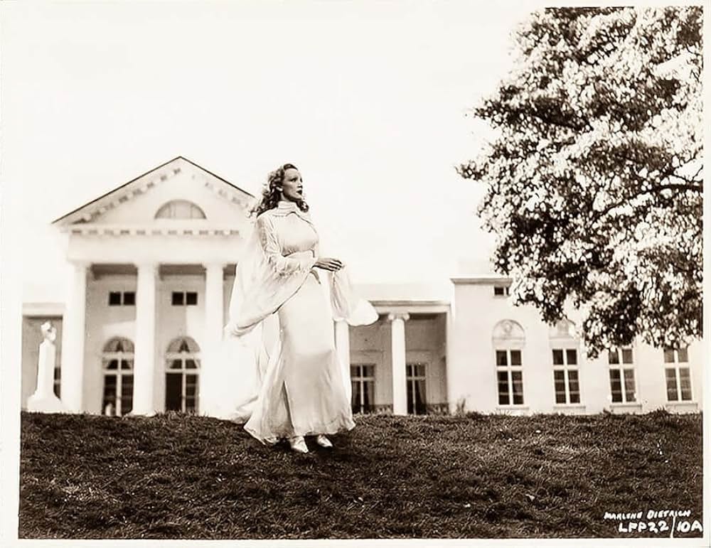 鎧なき騎士の画像