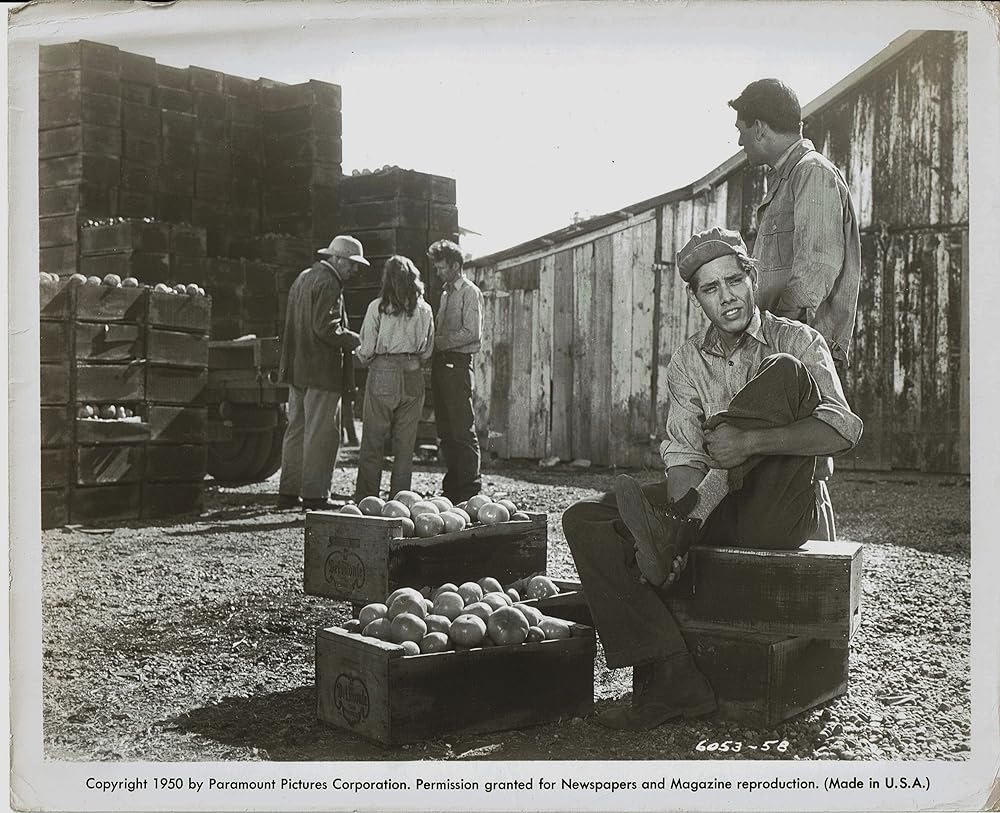 暴力の街の画像