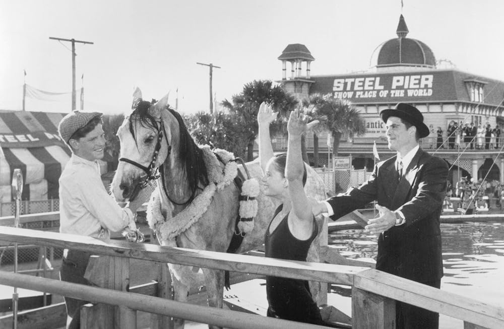 ワイルドハート／彼女は空を翔けたの画像