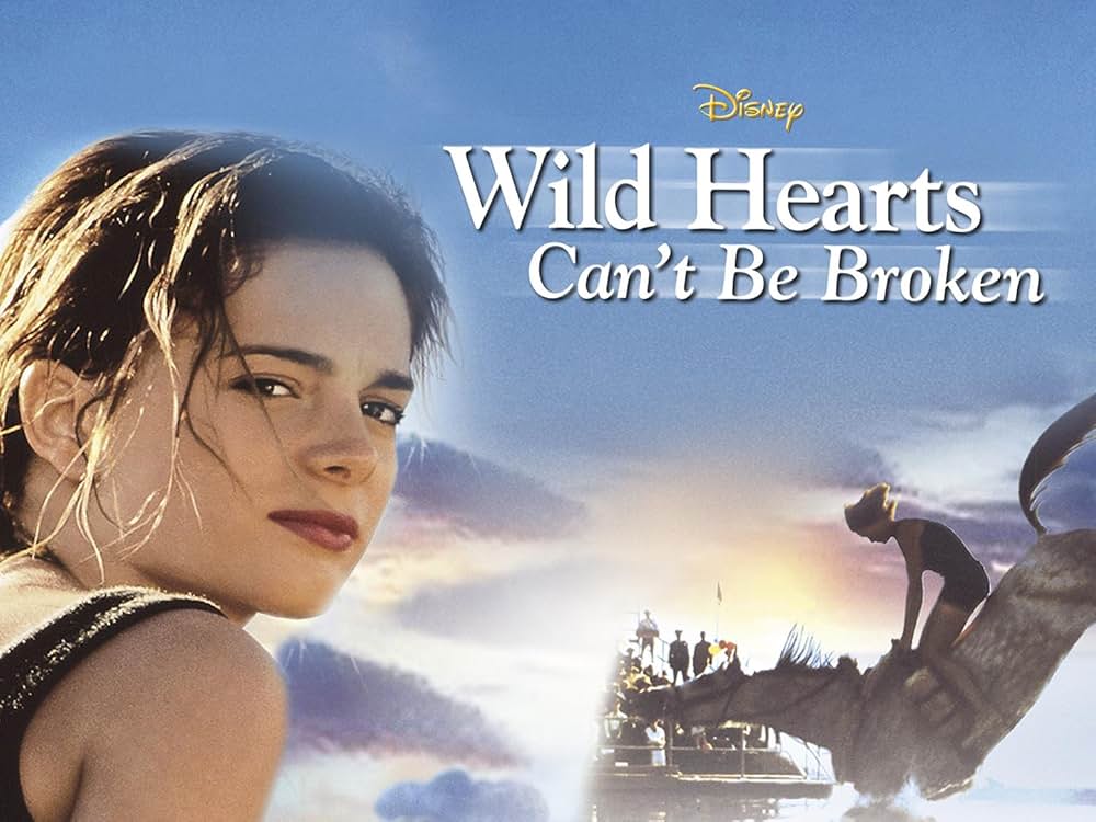 ワイルドハート／彼女は空を翔けたの画像