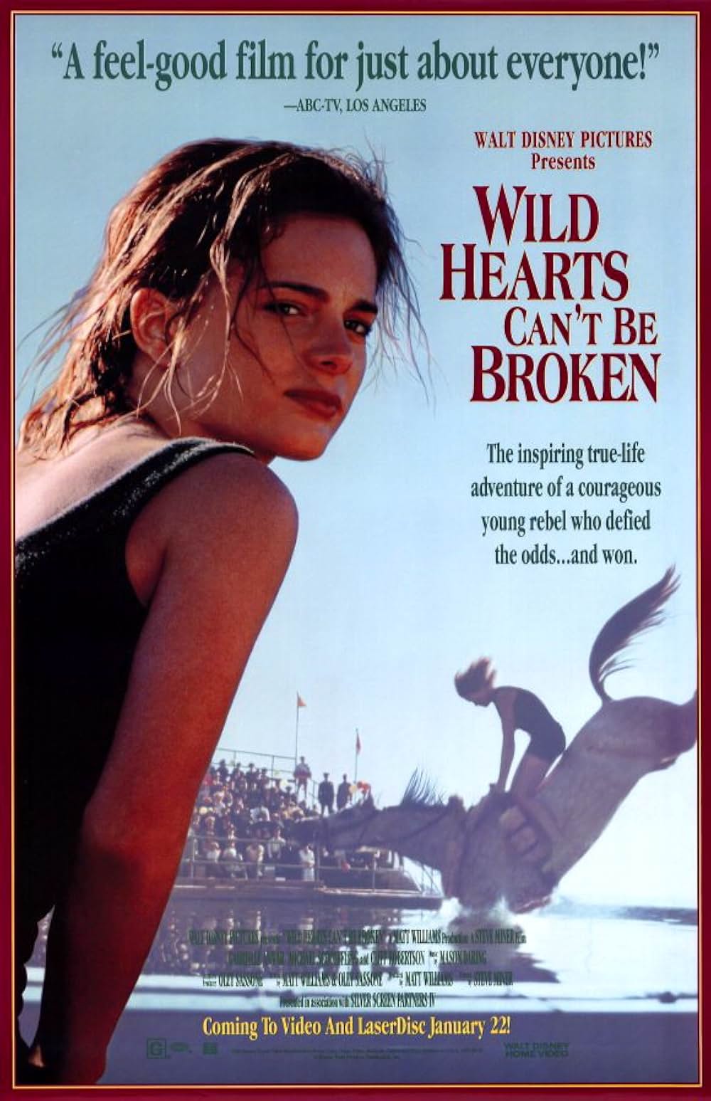 ワイルドハート／彼女は空を翔けたの画像