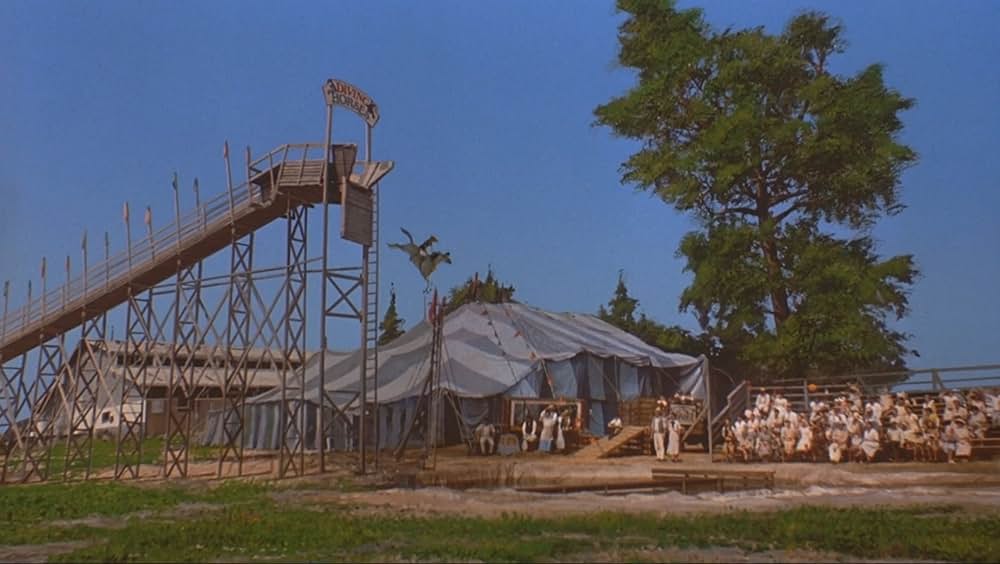 ワイルドハート／彼女は空を翔けたの画像