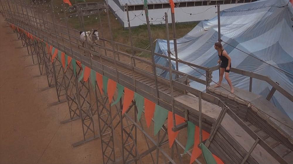 ワイルドハート／彼女は空を翔けたの画像