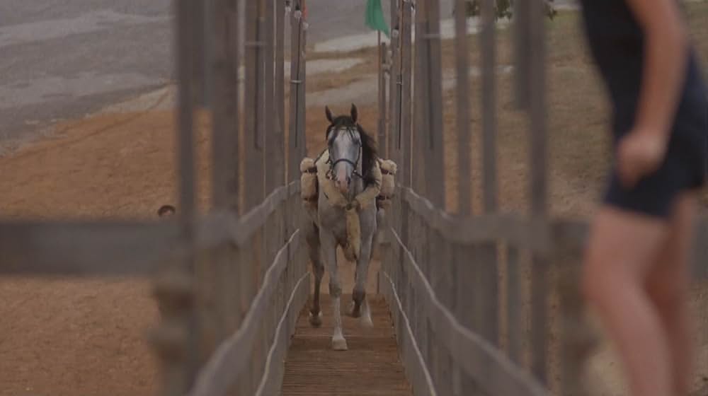 ワイルドハート／彼女は空を翔けたの画像