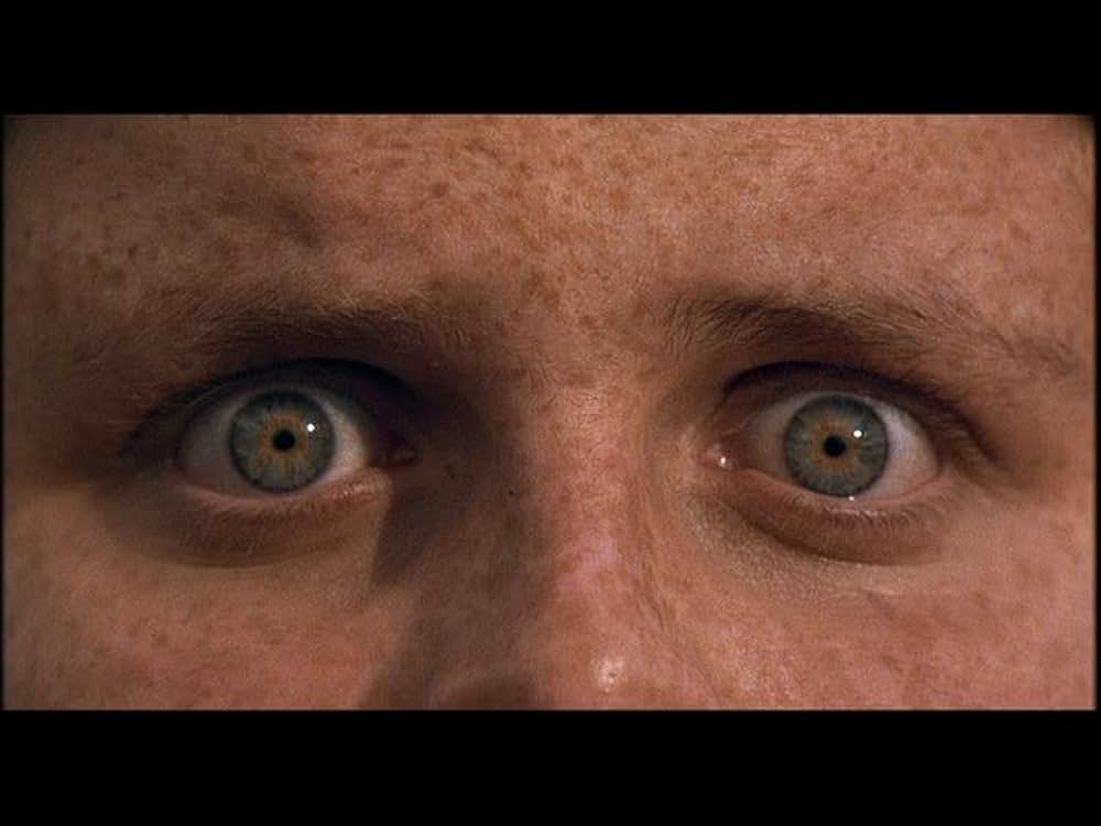 ビッグ・グリーン／でこぼこイレブン大旋風の画像