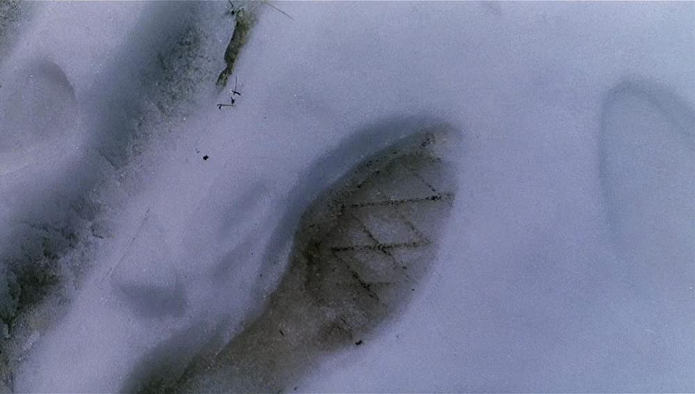 薔薇の名前の画像