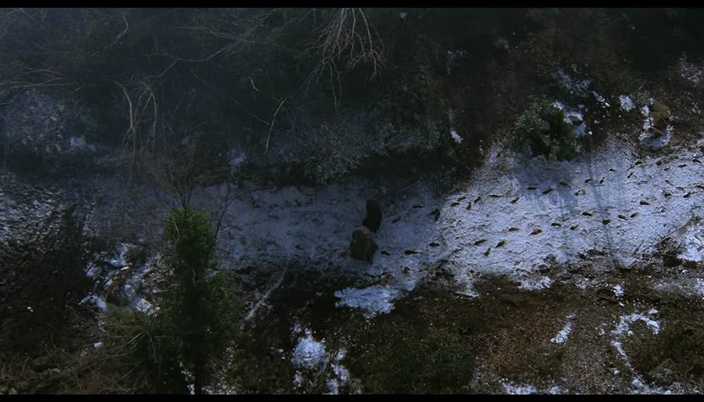 「薔薇の名前」の画像