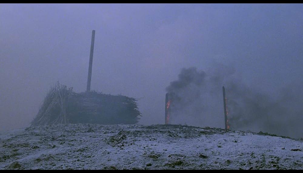 「薔薇の名前」の画像