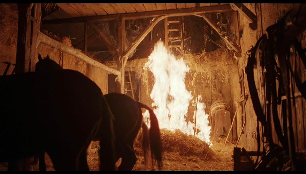 「薔薇の名前」の画像