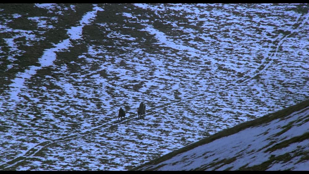 「薔薇の名前」の画像