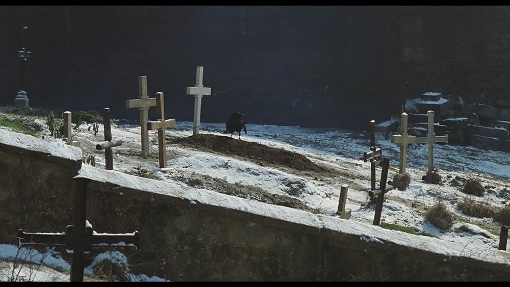 「薔薇の名前」の画像