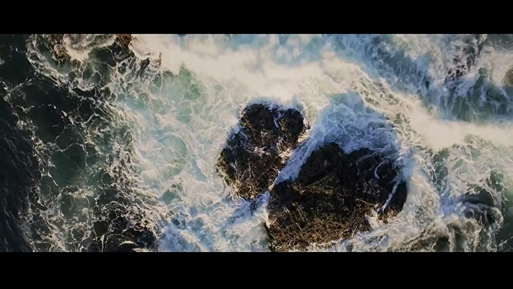 ポイズン・ローズの画像