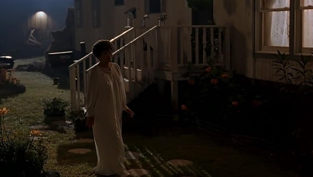 スティーヴン・キング／ナイトフライヤーの画像