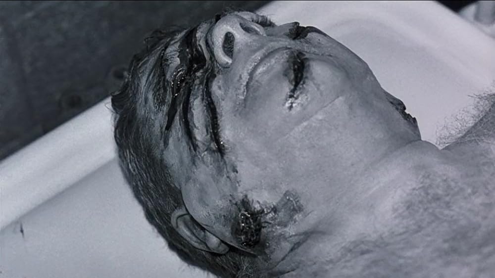 スティーヴン・キング／ナイトフライヤーの画像