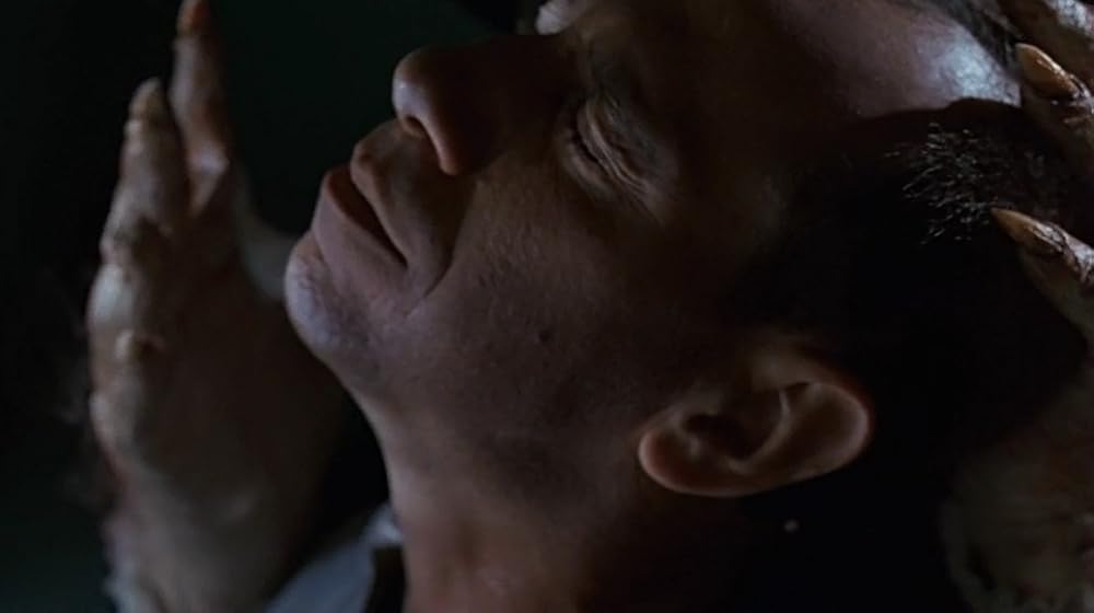 スティーヴン・キング／ナイトフライヤーの画像