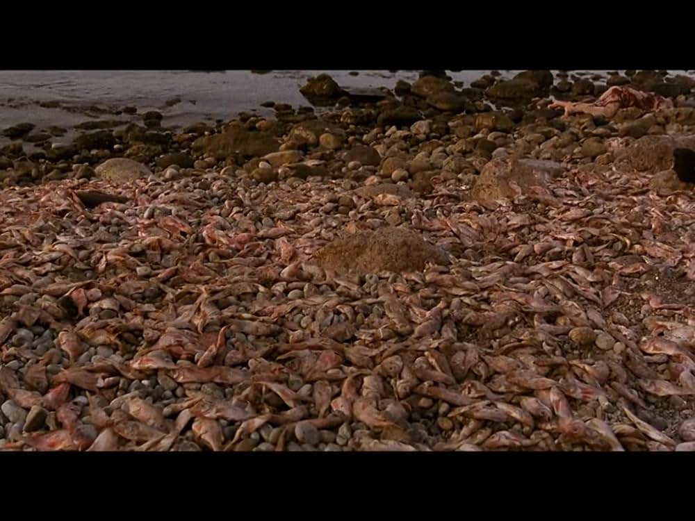 サスペリア・ナイトメアの画像