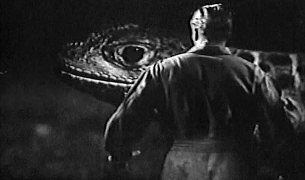 宇宙からの暗殺者の画像