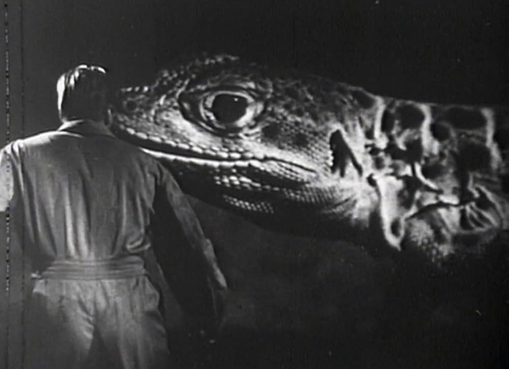 宇宙からの暗殺者の画像