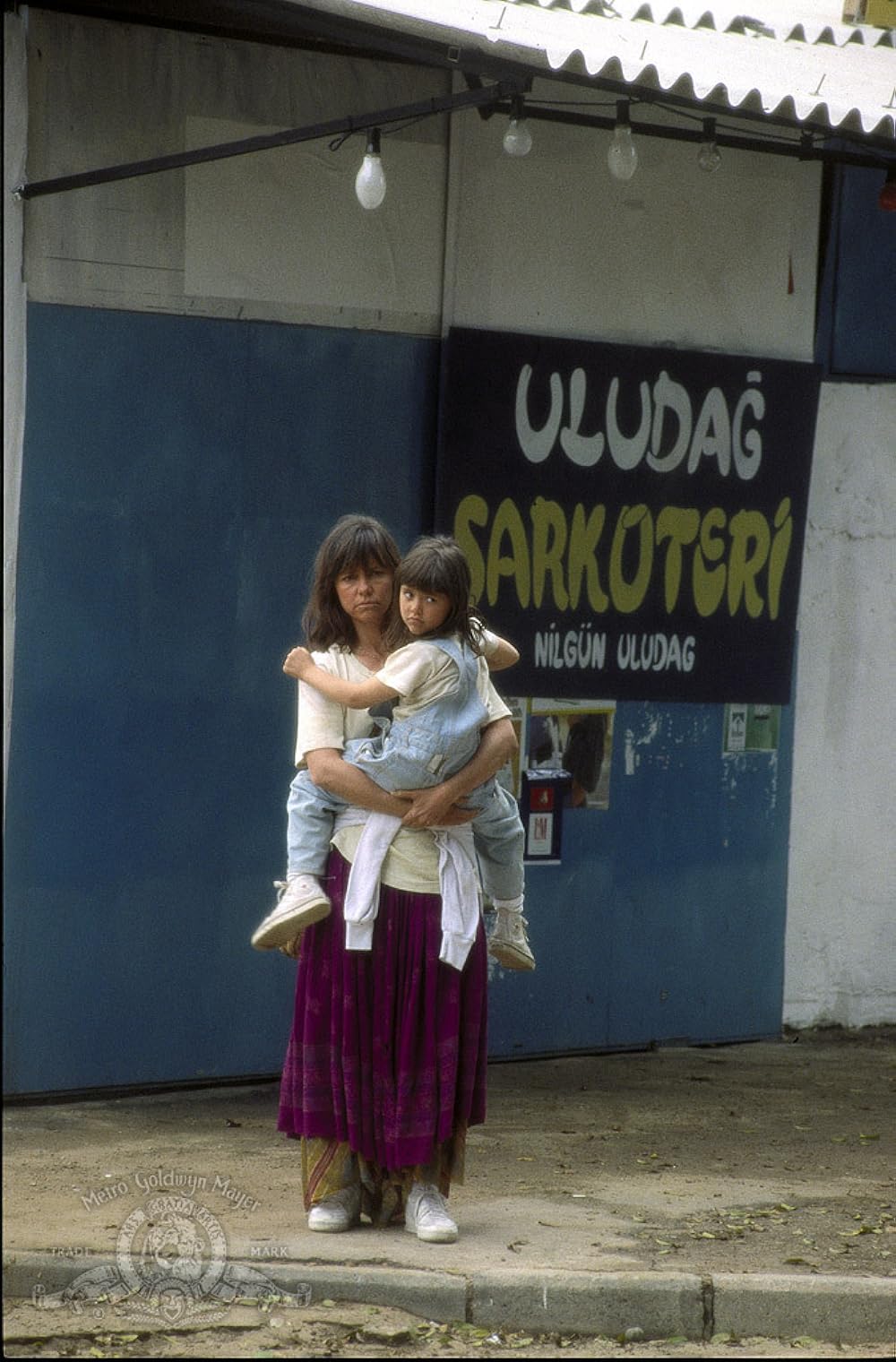 星の流れる果ての画像