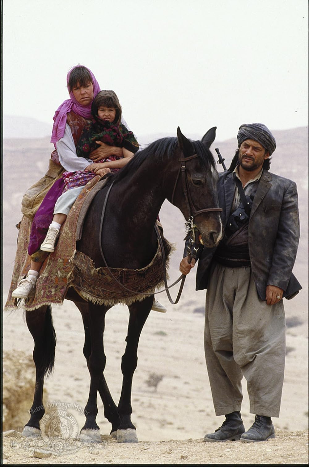 星の流れる果ての画像