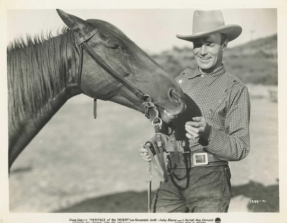 砂漠の遺産の画像