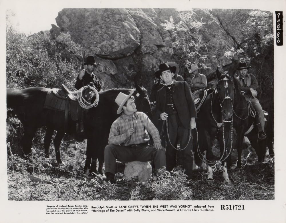 砂漠の遺産の画像