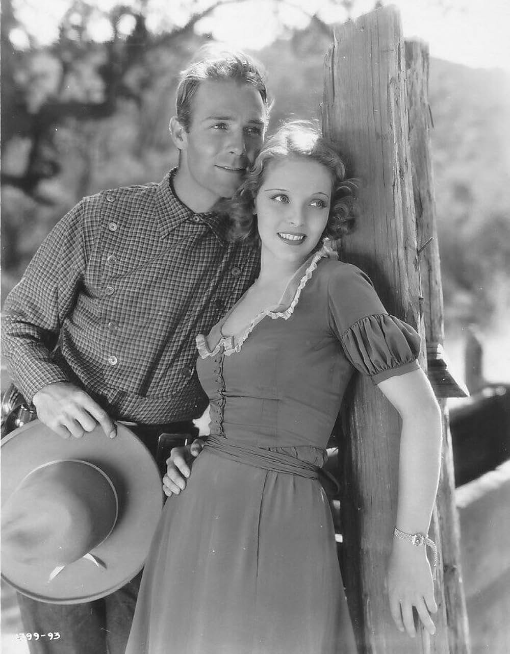 砂漠の遺産の画像