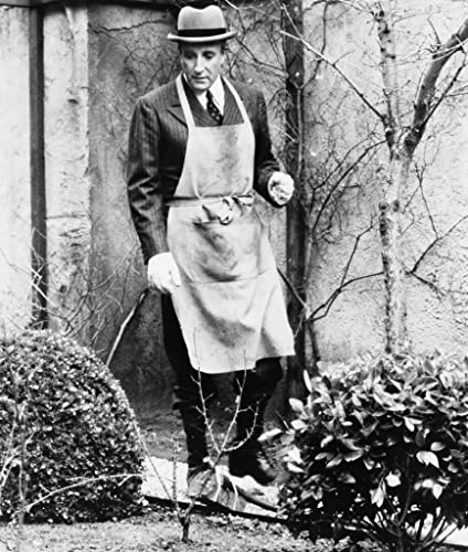 「チャンス」ピーター・セラーズの画像