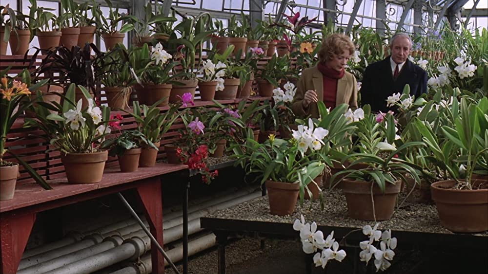 「チャンス」シャーリー・マクレーン & ピーター・セラーズの画像