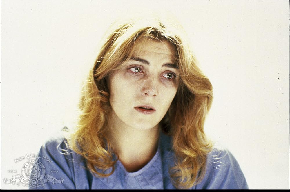 テロリズムの夜／パティ・ハースト誘拐事件の画像