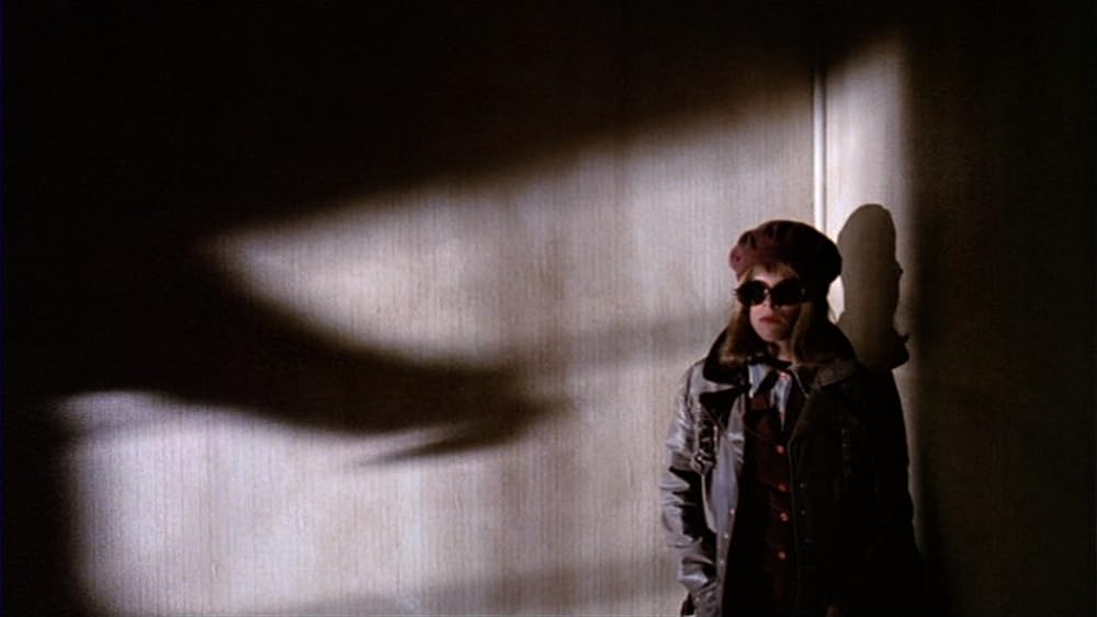 テロリズムの夜／パティ・ハースト誘拐事件の画像