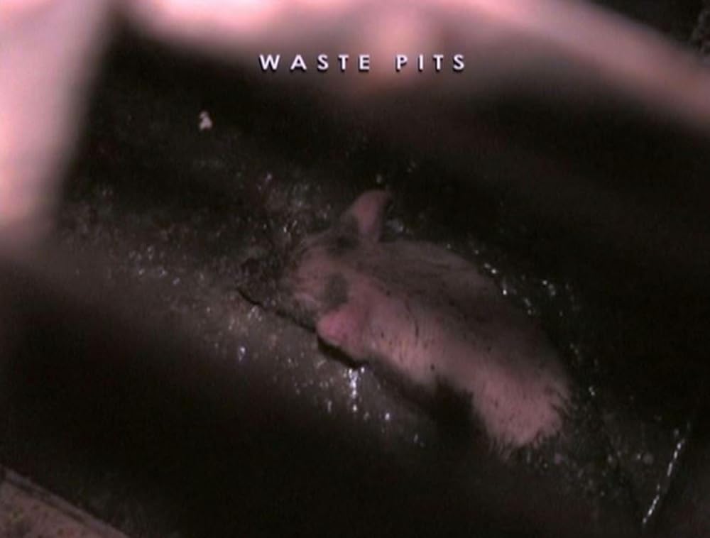 アースリングスの画像