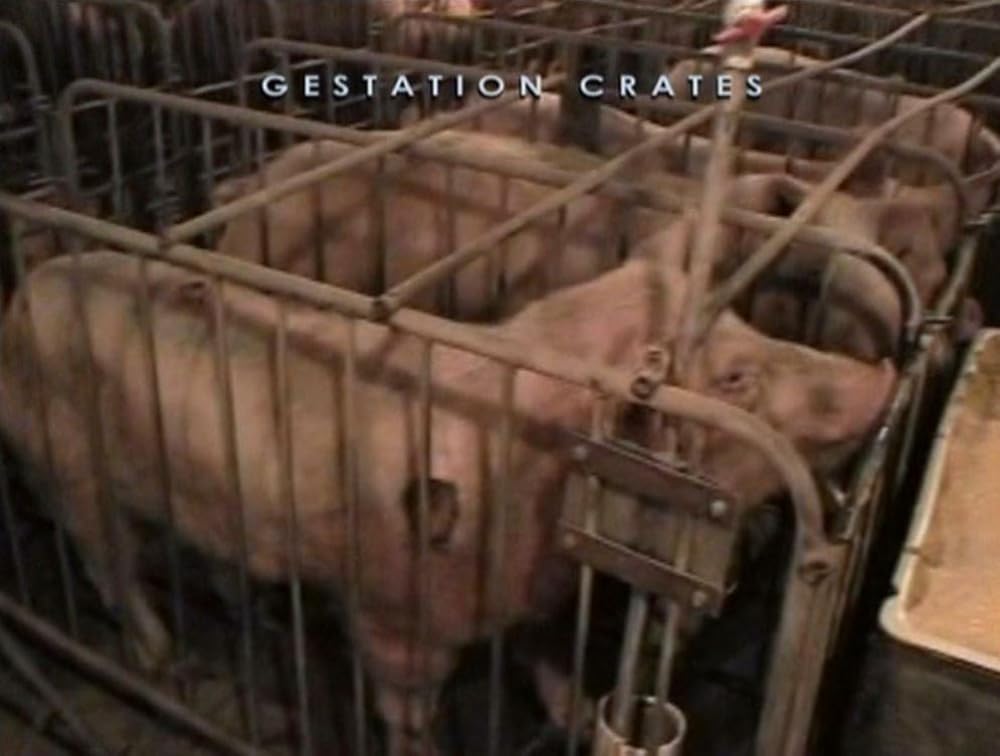 アースリングスの画像