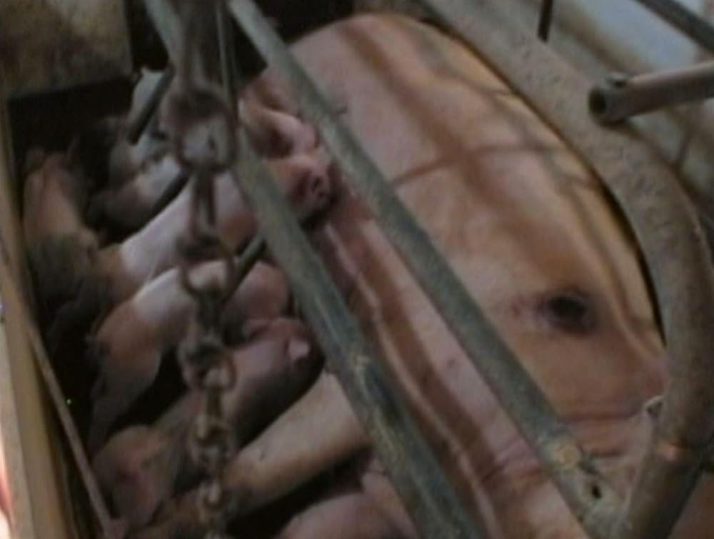 アースリングスの画像