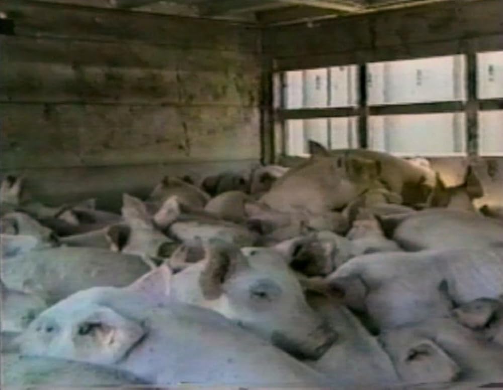 アースリングスの画像