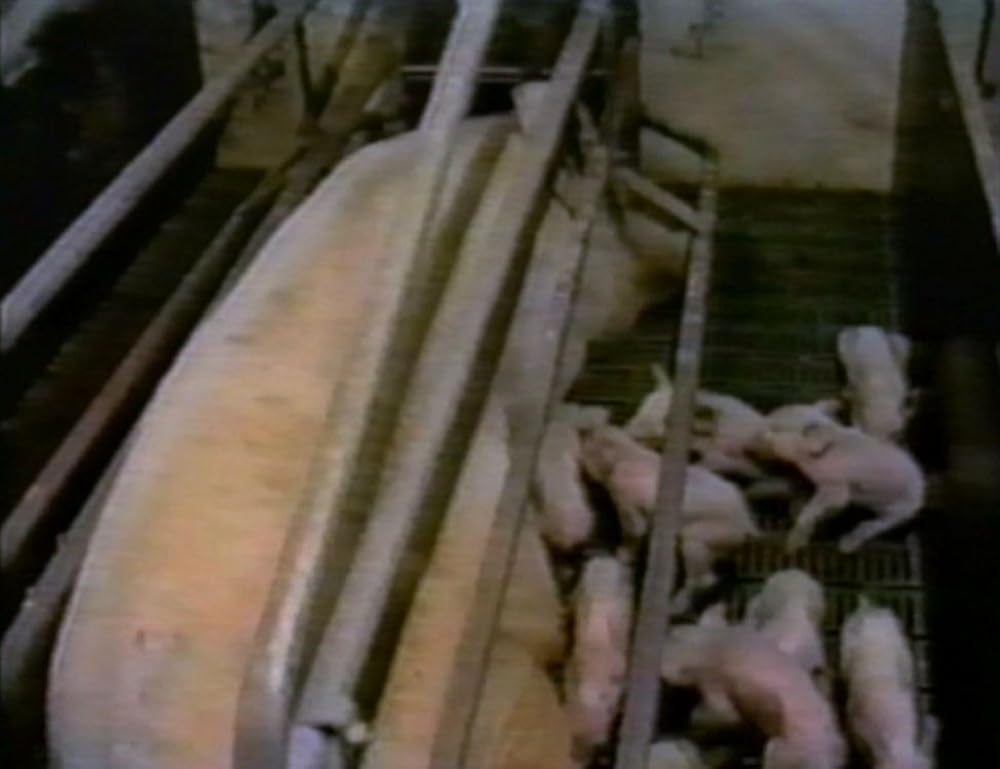 アースリングスの画像