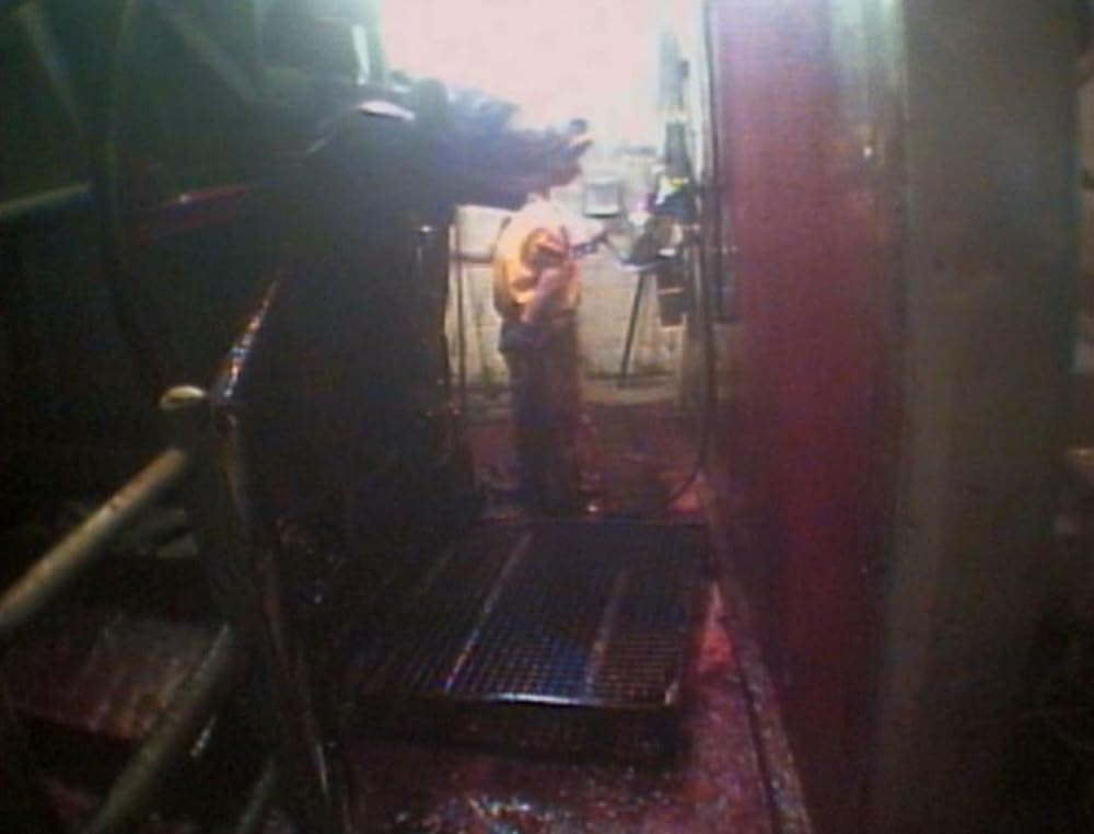 アースリングスの画像