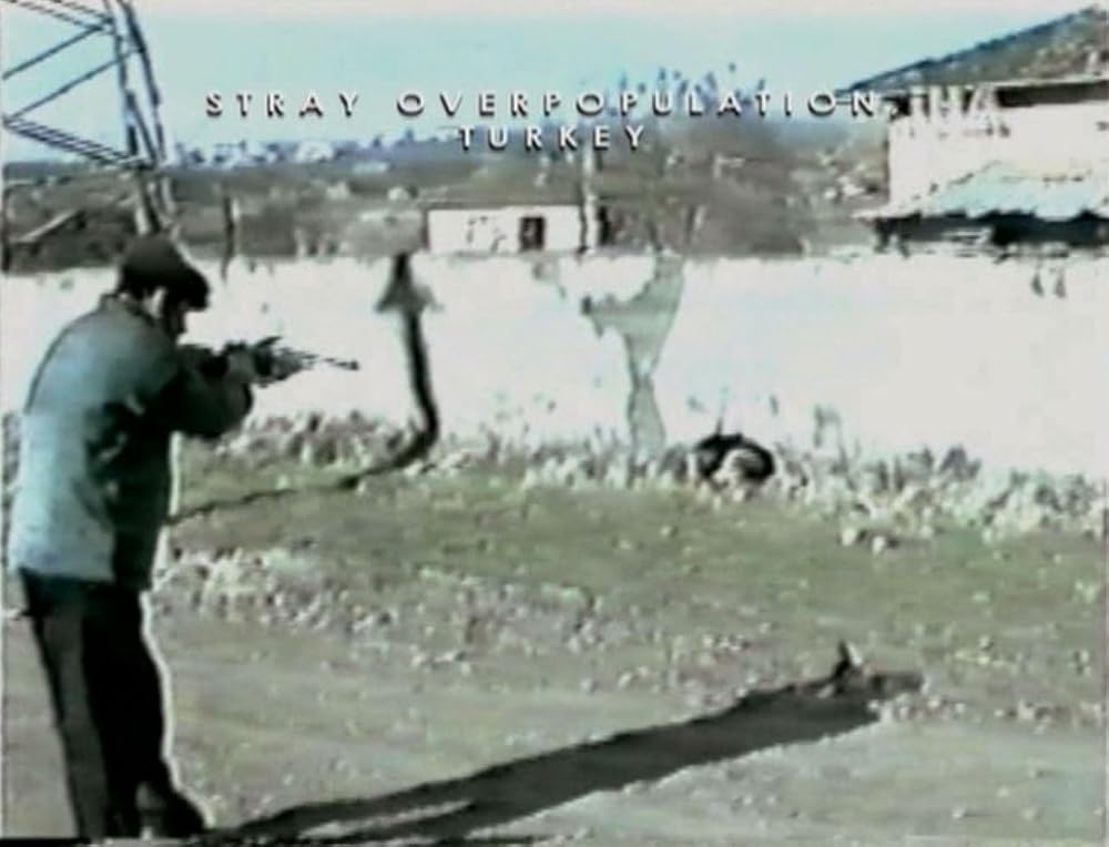 アースリングスの画像