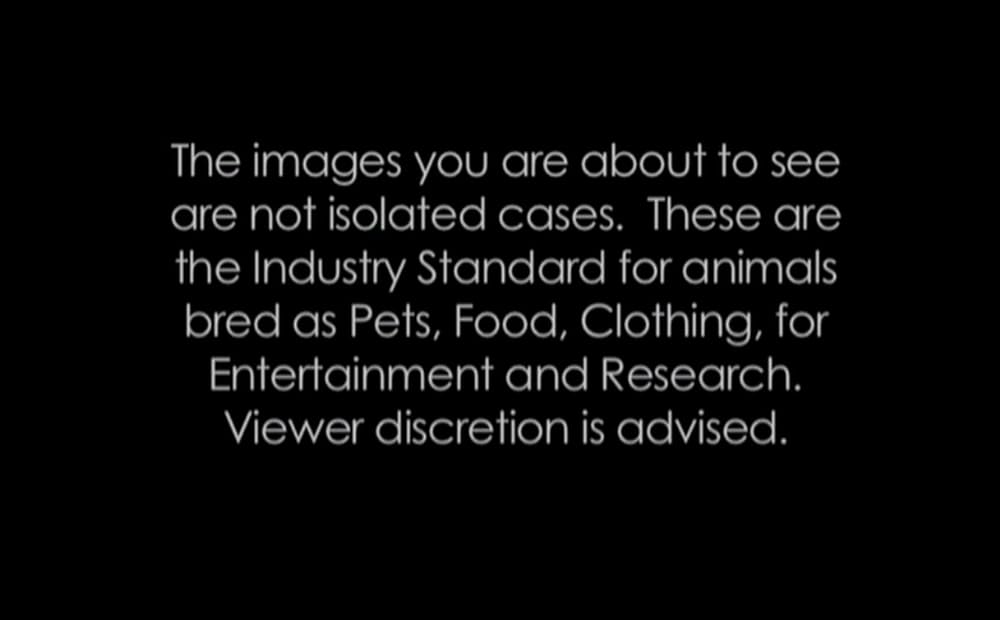 アースリングスの画像