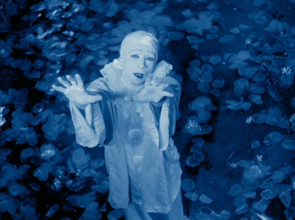 ラビッツ・ムーンの画像