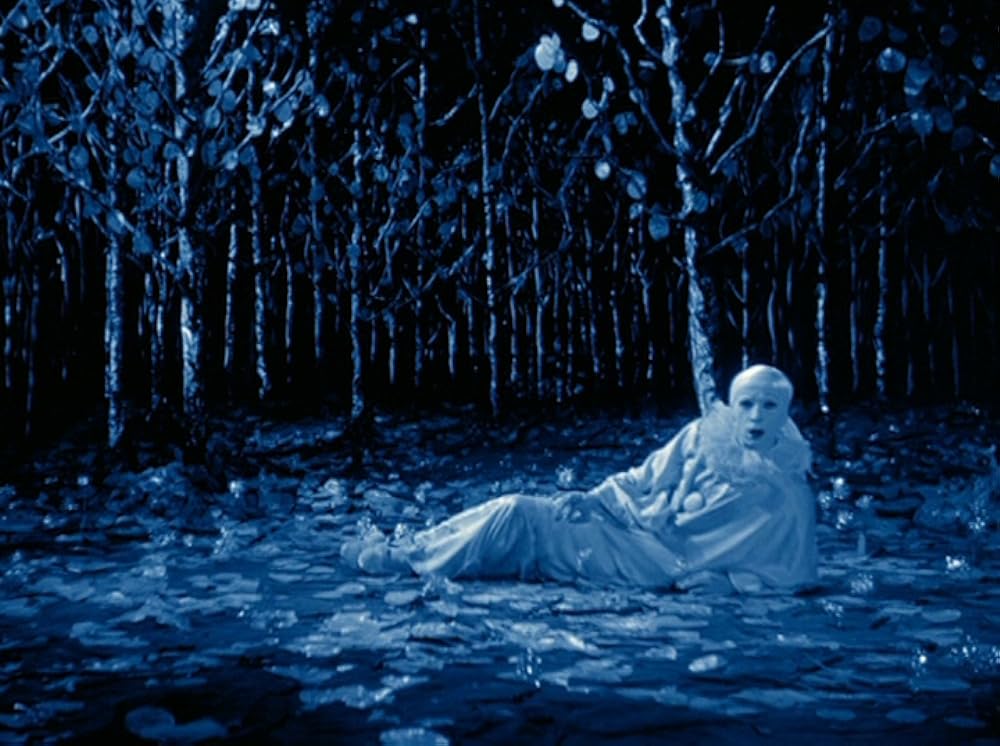 ラビッツ・ムーンの画像