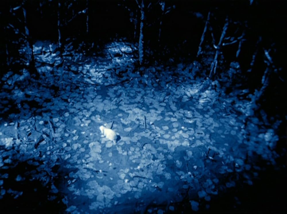 ラビッツ・ムーンの画像