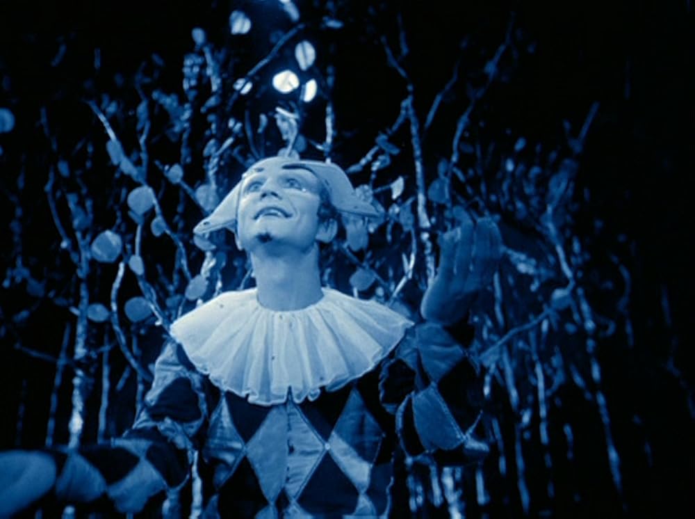 ラビッツ・ムーンの画像