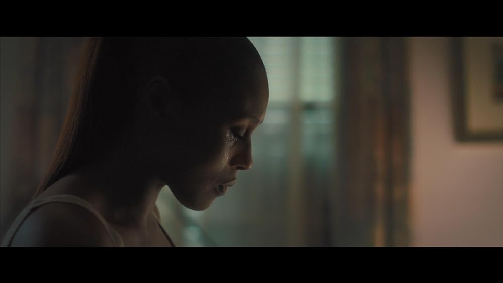 フォトグラフの画像